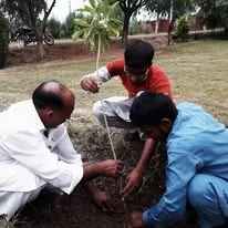 Green Seekers Activity